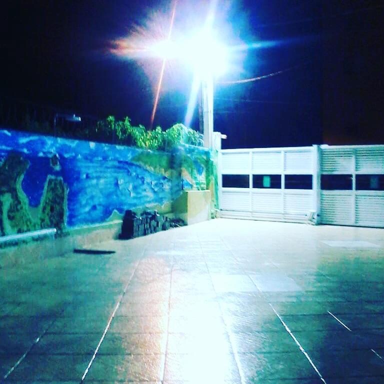 Palmas *